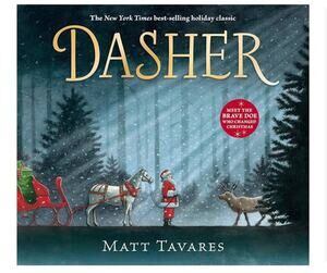 NEW Dasher Hardcover Book, Holiday book, by Matt Tavares